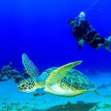 Daire Alegria Lagoon Paralimni